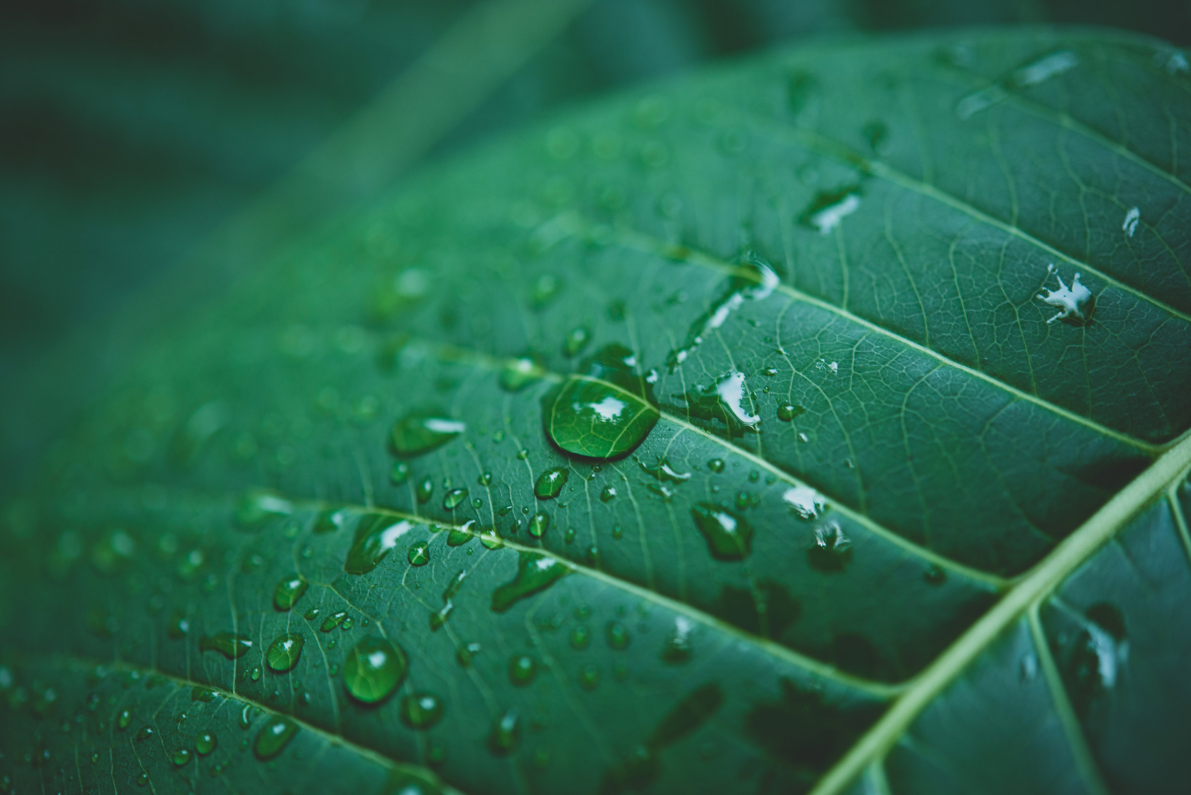 Environmental protection